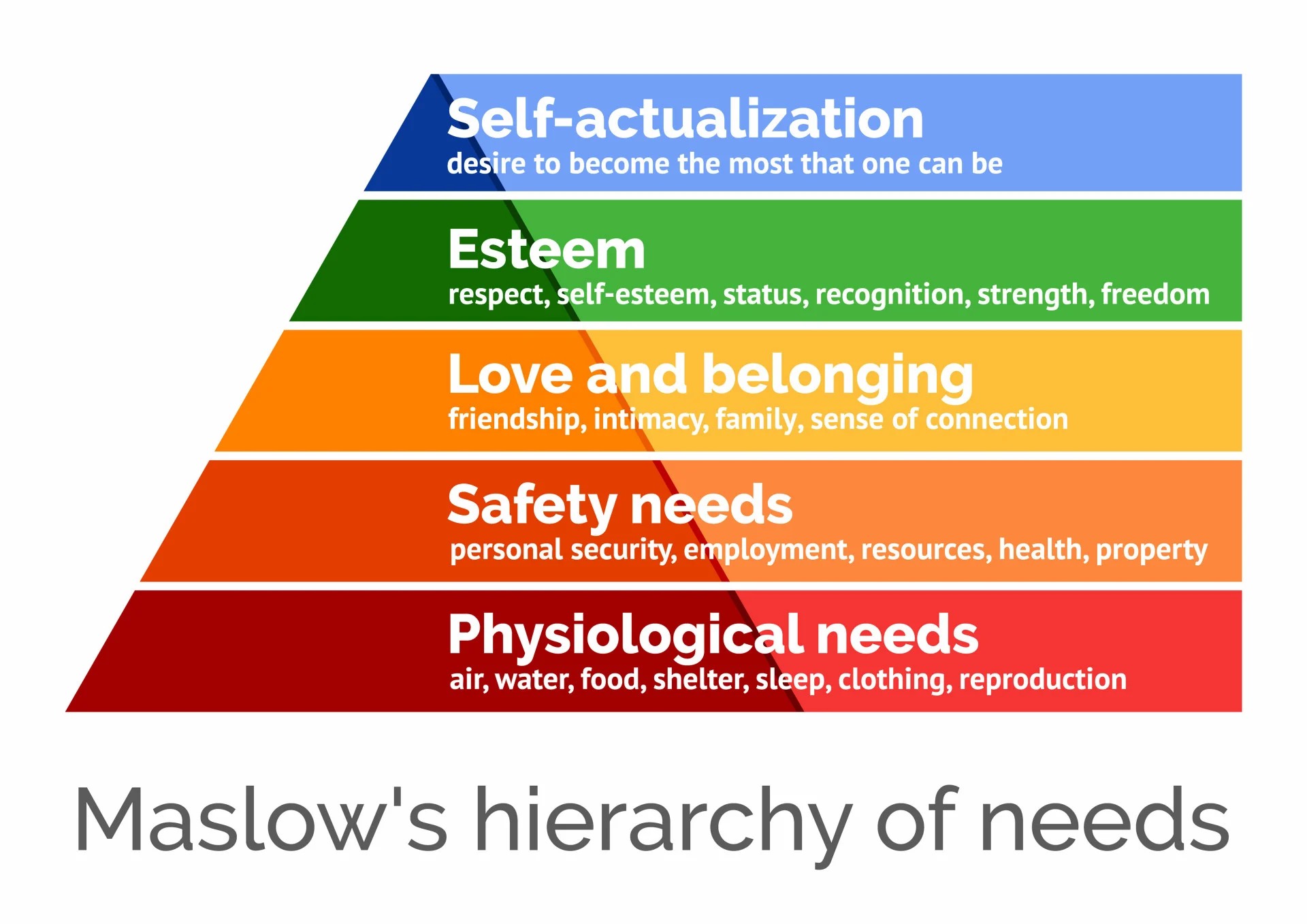 maslows heirarchy